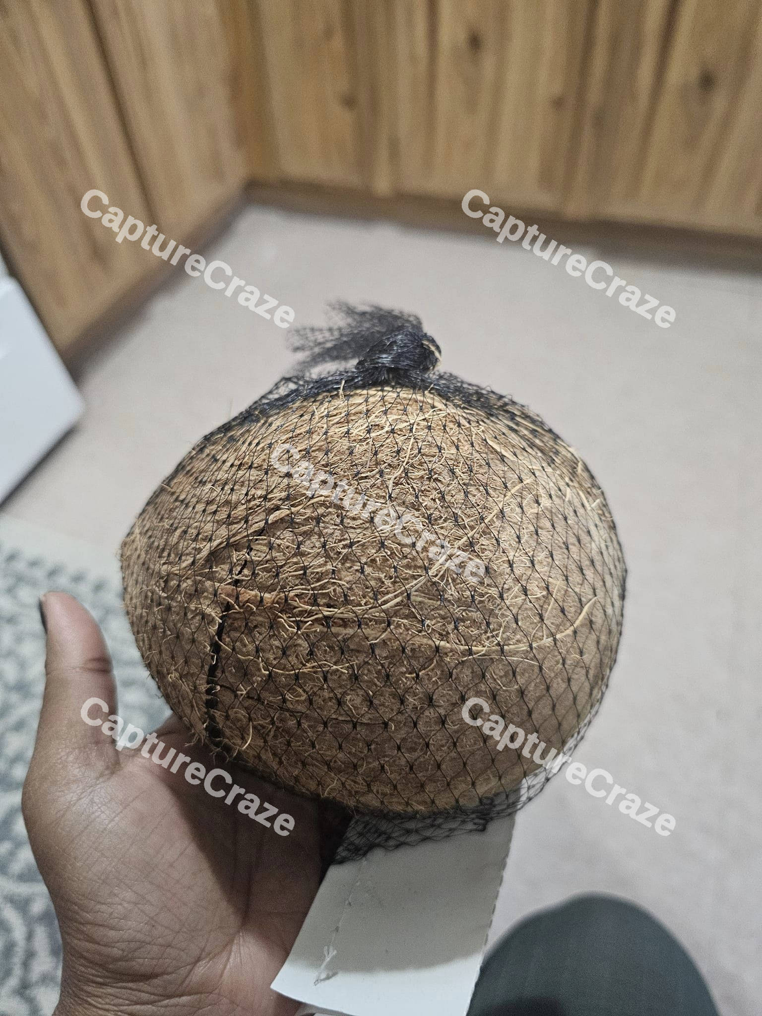 Coconut